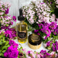 Body Care Mini Sets